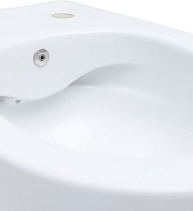 Унитаз Allen Brau Fantasy 4.11HC1.20 безободковый, с крышкой микролифт, белый купить в интернет-магазине Sanbest