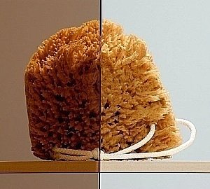 Душевой уголок Radaway Twist DWJ+S 80х75 купить в интернет-магазине Sanbest