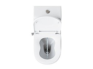 Унитаз-моноблок с функцией биде Laguraty 20980AWC с крышкой микролифт купить в интернет-магазине Sanbest