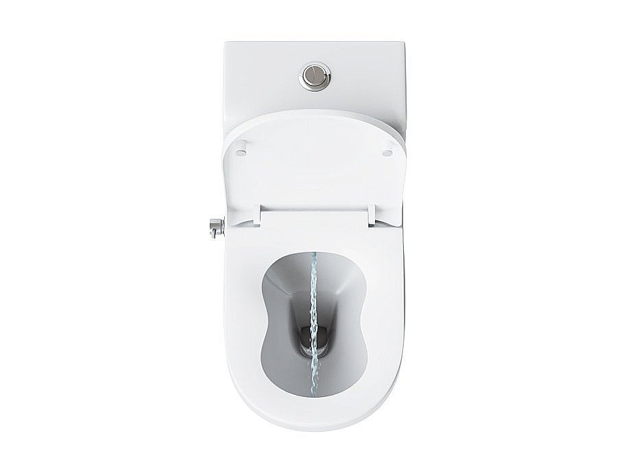 Унитаз-моноблок с функцией биде Laguraty 20980AWC с крышкой микролифт купить в интернет-магазине Sanbest