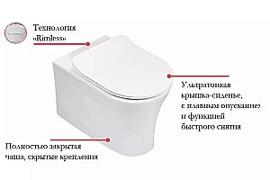 Унитаз подвесной Jacob Delafon Aleo E21730RU-00 с инсталляцией, с крышкой микролифт, белый/кнопка клавиша хром купить в интернет-магазине Sanbest