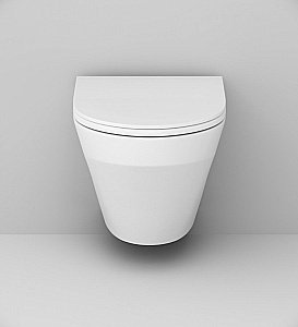 Унитаз подвесной AM.PM Inspire IS49051.501700 белый, безободковый, с инсталляцией купить в интернет-магазине Sanbest