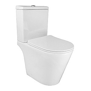 Унитаз напольный AZARIO Flin AZ-1363C безободковый, с бачком, с крышкой микролифт, глянцевый белый купить в интернет-магазине Sanbest