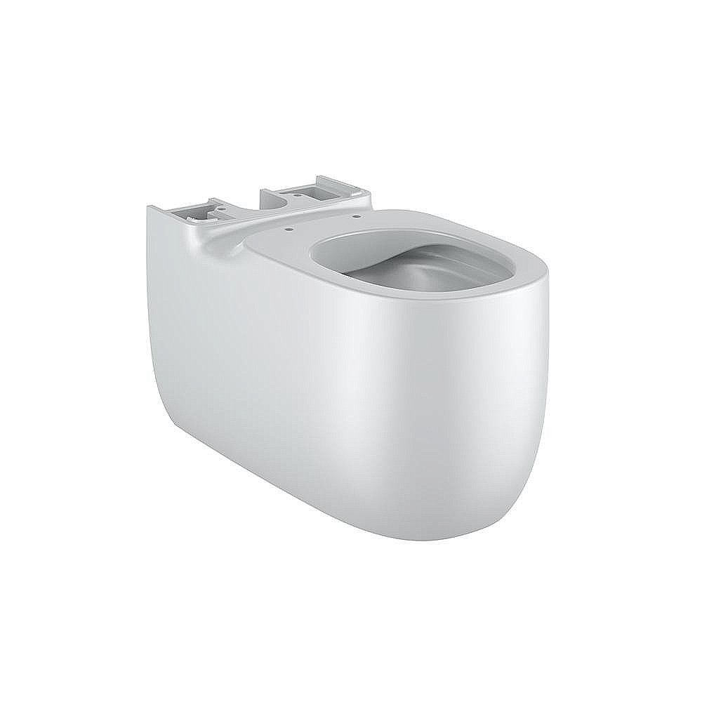 Унитаз напольный Roca Beyond 3420B9630 безободковый, с бачком, жемчужный купить в интернет-магазине Sanbest