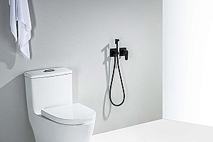 Гигиенический душ Aquatek Оберон AQ1220MB черный матовый купить в интернет-магазине сантехники Sanbest