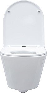 Унитаз подвесной Aquanet Lake белый с крышкой микролифт, безободковый купить в интернет-магазине Sanbest