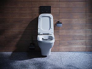 Унитаз подвесной Santek Лайн 1WH501574 безободковый, с крышкой микролифт купить в интернет-магазине Sanbest