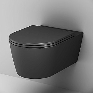 Унитаз подвесной AM.PM Func C8F1701MBSC черный матовый, безободковый купить в интернет-магазине Sanbest