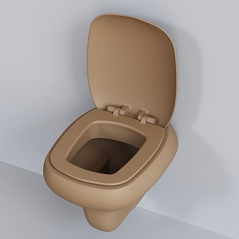 Унитаз подвесной Ambassador Diamond 123T20501R темно-бежевый матовый купить в интернет-магазине Sanbest