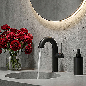 Смеситель для раковины Elghansa RADIANT XQ 1647181-Black черный матовый купить в интернет-магазине сантехники Sanbest