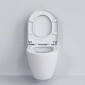 Унитаз подвесной Ambassador Queen 113T20001R безободковый, белый купить в интернет-магазине Sanbest