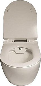 Унитаз подвесной SantiLine SL-5002SM-BD безободковый, с крышкой микролифт купить в интернет-магазине Sanbest