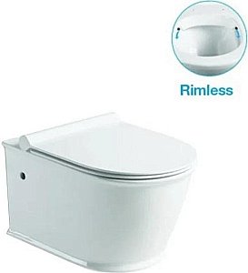 Унитаз подвесной SantiLine SL-5009 безободковый, с крышкой микролифт купить в интернет-магазине Sanbest