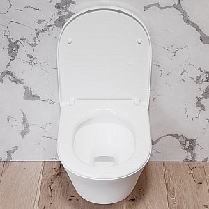 Унитаз подвесной Damixa Skyline DX35C1700SC белый, с крышкой микролифт, безободковый купить в интернет-магазине Sanbest