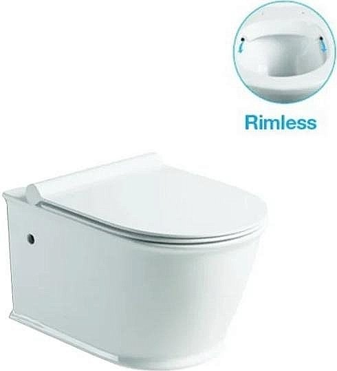 Унитаз подвесной SantiLine SL-5009 безободковый, с крышкой микролифт купить в интернет-магазине Sanbest