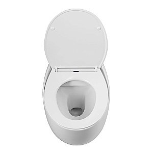 Унитаз Art&Max FORLI AM020CHR/SC белый, с крышкой микролифт, безободковый купить в интернет-магазине Sanbest