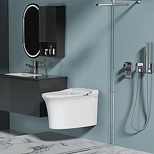 Унитаз подвесной Abber Bequem AC1124P белый, с крышкой микролифт купить в интернет-магазине Sanbest