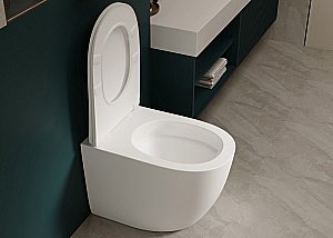 Унитаз напольный Abber Bequem AC1111TMW белый матовый, безободковый, с крышкой микролифт, слив-торнадо купить в интернет-магазине Sanbest
