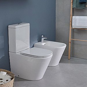 Унитаз напольный Jacob Delafon RODIN ETAB232-00/UJAB102-00 безободковый, с бачком, белый купить в интернет-магазине Sanbest