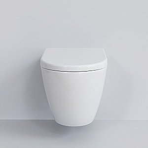 Унитаз подвесной Ambassador Queen 113T20001R безободковый, белый купить в интернет-магазине Sanbest