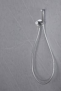 Гигиенический душ Abber WASSER KREIS AF8125 хром купить в интернет-магазине сантехники Sanbest