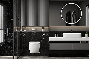 Унитаз подвесной ABBER Bequem AC1100MW с крышкой микролифт, безободковый, белый матовый купить в интернет-магазине Sanbest