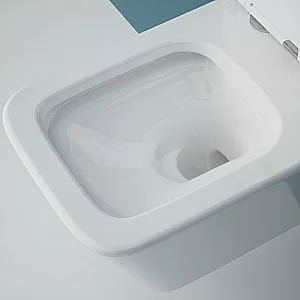 Унитаз подвесной Esbano GARTEZ-51 купить в интернет-магазине Sanbest