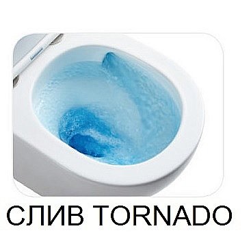 Унитаз напольный WeltWasser WW SALZBACH 011 GL-WT белый купить в интернет-магазине Sanbest