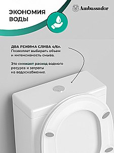 Унитаз Ambassador Ritz 237K19002S с бачком, с крышкой микролифт, белый купить в интернет-магазине Sanbest