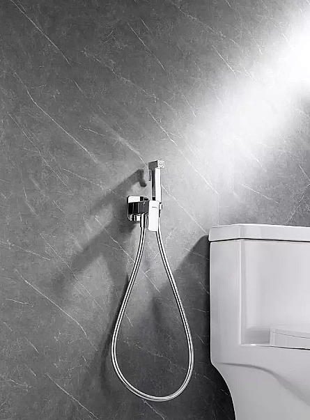 Гигиенический душ Allen Brau Infinity 5.21005-BN никель брашированный купить в интернет-магазине сантехники Sanbest