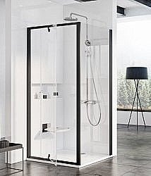 Неподвижная стенка Ravak PPS-100 чёрный купить в интернет-магазине сантехники Sanbest