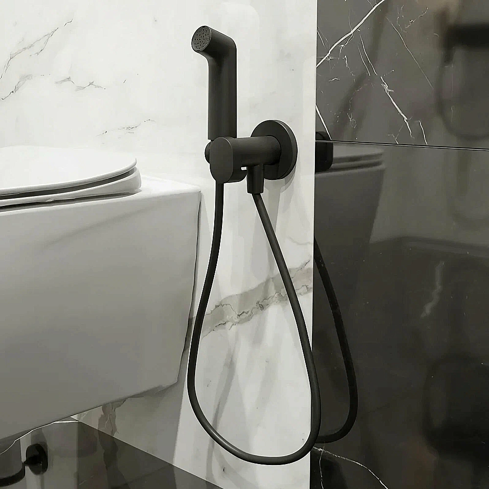 Гигиенический душ Hansgrohe Bidette 29232670 черный матовый купить в интернет-магазине сантехники Sanbest