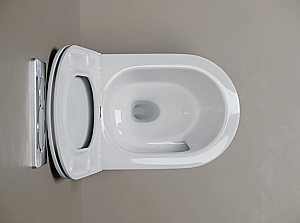Унитаз подвесной Ceramica Nova Alfeo CN4014T белый, безободковый, с крышкой микролифт, слив торнадо купить в интернет-магазине Sanbest