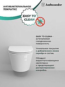 Унитаз подвесной Ambassador Ritz 233K19004RS безободковый, с крышкой микролифт, белый купить в интернет-магазине Sanbest