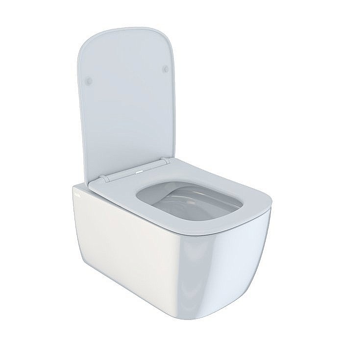 Унитаз подвесной Iddis Bridge BRIRDSEi25 безободковый, с крышкой микролифт купить в интернет-магазине Sanbest