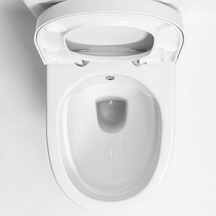 Унитаз напольный с функцией биде CREAVIT MARE MA361-00 белый, безободковый, с бачком купить в интернет-магазине Sanbest