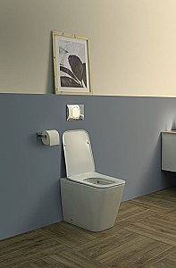 Унитаз приставной Aquanet Rimless Tavr 2.0 F LX-1908 с крышкой микролифт, безободковый купить в интернет-магазине Sanbest