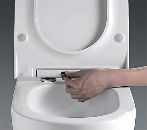 Унитаз подвесной RGW SW-52 80420252-01 белый, безободковый, с крышкой микролифт, слив-торнадо купить в интернет-магазине Sanbest