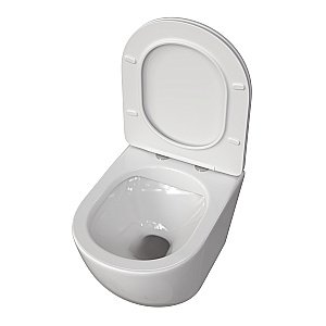 Унитаз подвесной Taliente Amato AM25010 безободковый, с крышкой микролифт, белый купить в интернет-магазине Sanbest