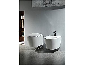 Унитаз подвесной Aquatek Вега AQ1905-00 белый, с крышкой микролифт, безободковый купить в интернет-магазине Sanbest