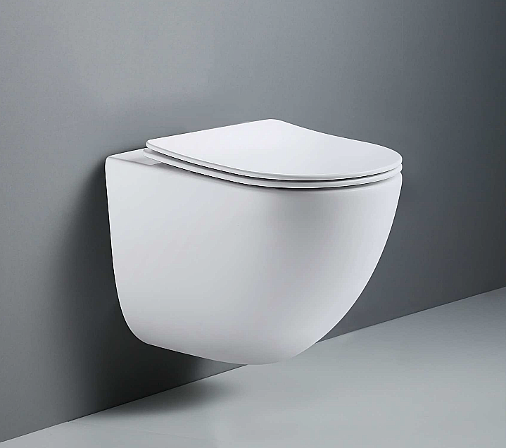 Унитаз подвесной CeramaLux TR-0199ZK безободковый, с крышкой микролифт, белый купить в интернет-магазине Sanbest