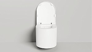 Унитаз подвесной Salini Gemelli 240121KMF из искусственного камня S-Stone, безободковый, с крышкой микролифт, RAL снаружи купить в интернет-магазине Sanbest