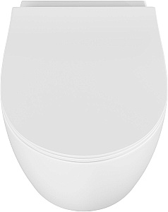 Унитаз подвесной Allen Brau Fantasy 3 Vortex 4.11035.21 белый матовый, с крышкой микролифт, слив торнадо купить в интернет-магазине Sanbest