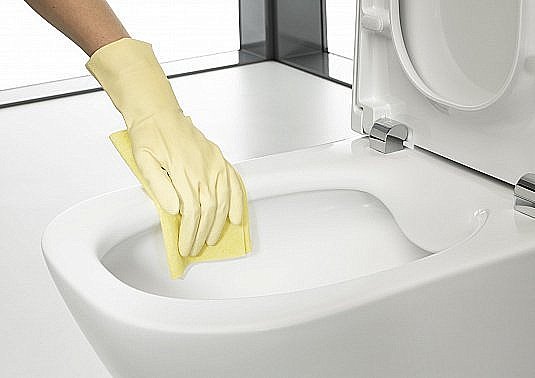 Унитаз подвесной Roca The Gap 34647L000 безободковый купить в интернет-магазине Sanbest