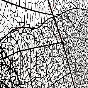 Душевое ограждение AvaCan MB120 профиль черный/стекло прозрачное с рисунком купить в интернет-магазине Sanbest