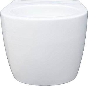 Унитаз подвесной Aquanet ZV-1 белый с крышкой микролифт, безободковый, слив-торнадо купить в интернет-магазине Sanbest