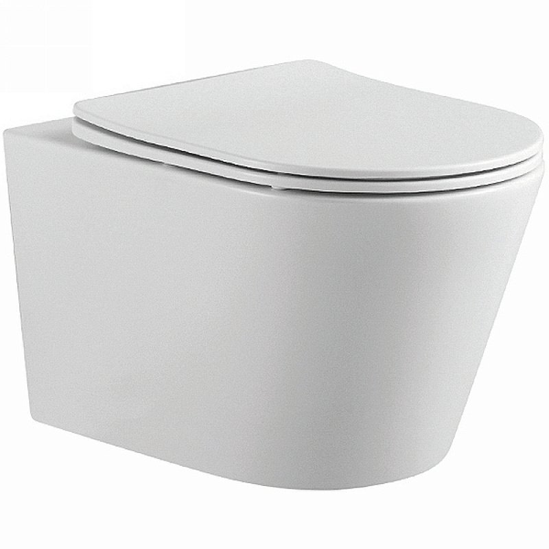 Унитаз подвесной Aquatek Вега AQ1905-MW белый матовый, с крышкой микролифт, безободковый купить в интернет-магазине Sanbest