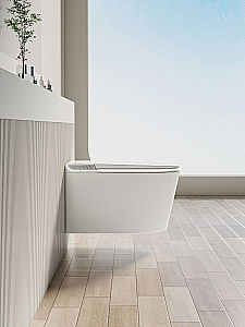 Унитаз-биде подвесной с инсталляцией Allen Brau Smart 4.I1001.20 белый, с крышкой микролифт, слив торнадо купить в интернет-магазине Sanbest