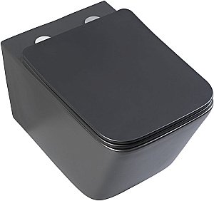 Унитаз подвесной Aquanet Rimless Tavr-W BL-103N-WHT black черный матовый, с крышкой микролифт, безободковый купить в интернет-магазине Sanbest