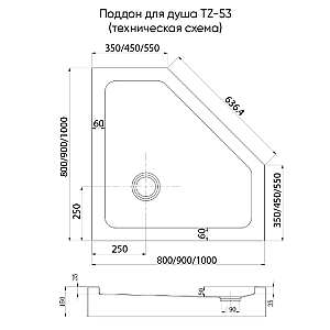 Душевой поддон Veconi Tezeo 100х100 TZ53GR-100-C5 серый купить в интернет-магазине Sanbest